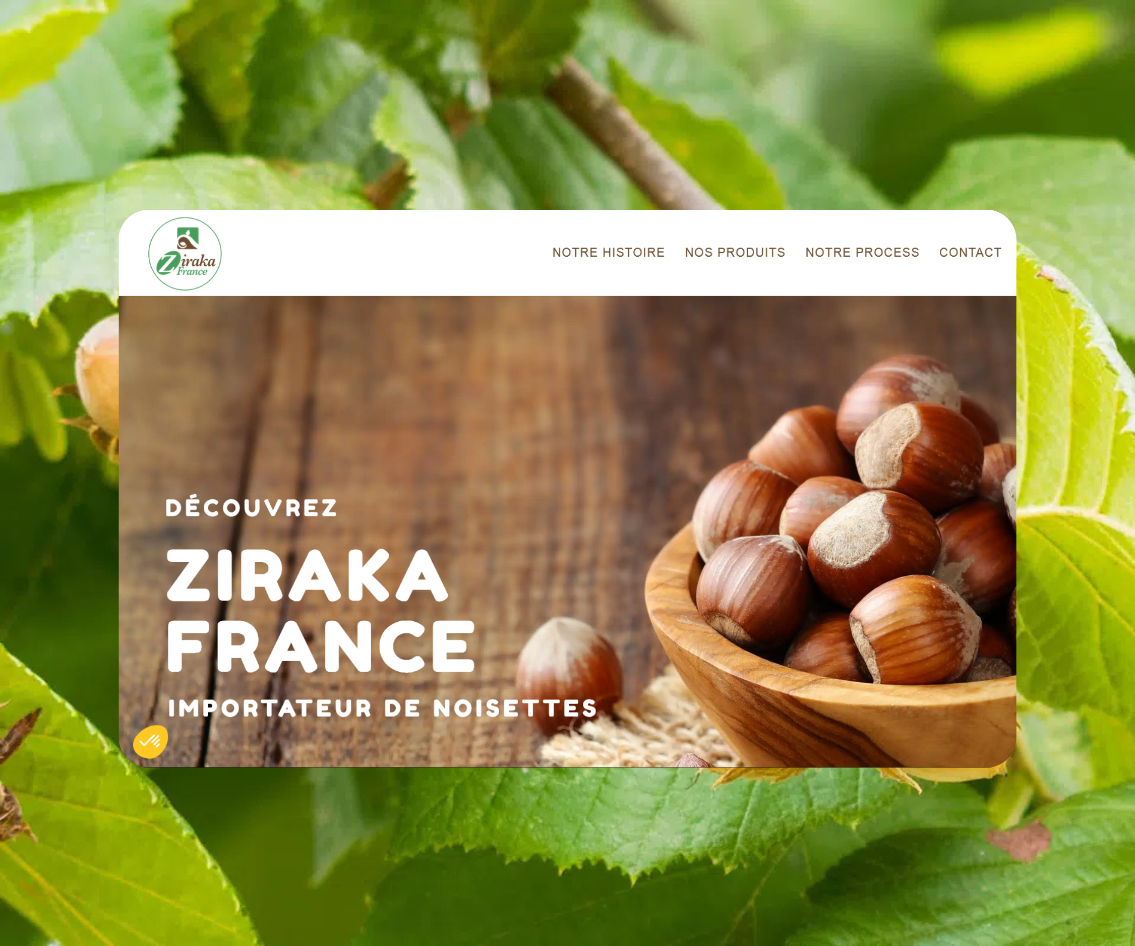 Ziraka France couv web